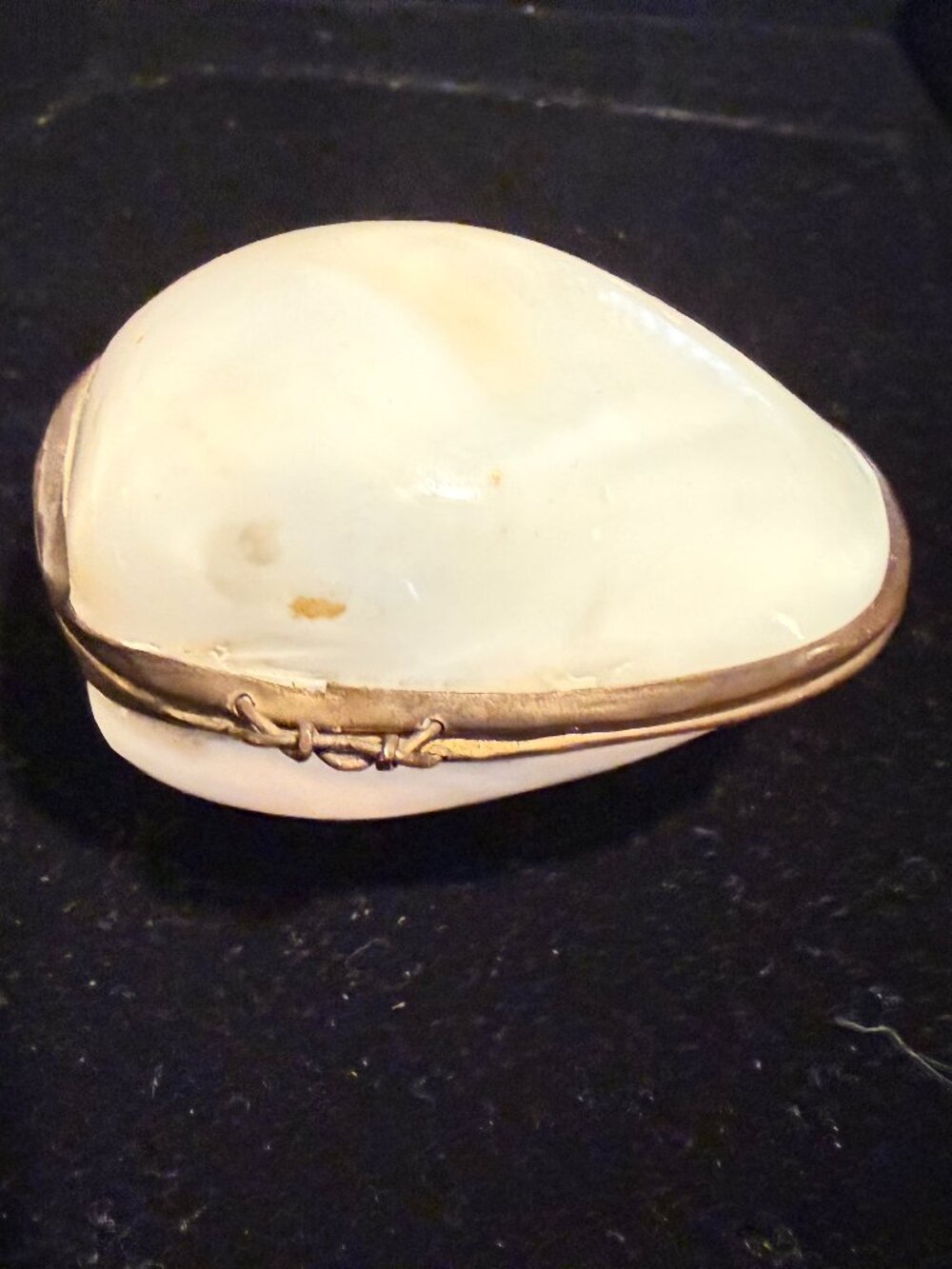 Vintage shell snuff box / trinket box